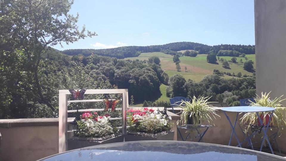 Gite Moderne Proche De Kaysersberg Av Jacuzzi Prive Orbey Zewnętrze zdjęcie